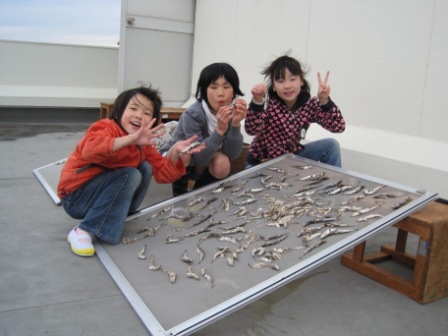 http://www.tahara.ed.jp/akabane-e/blog/nibosi03.JPG