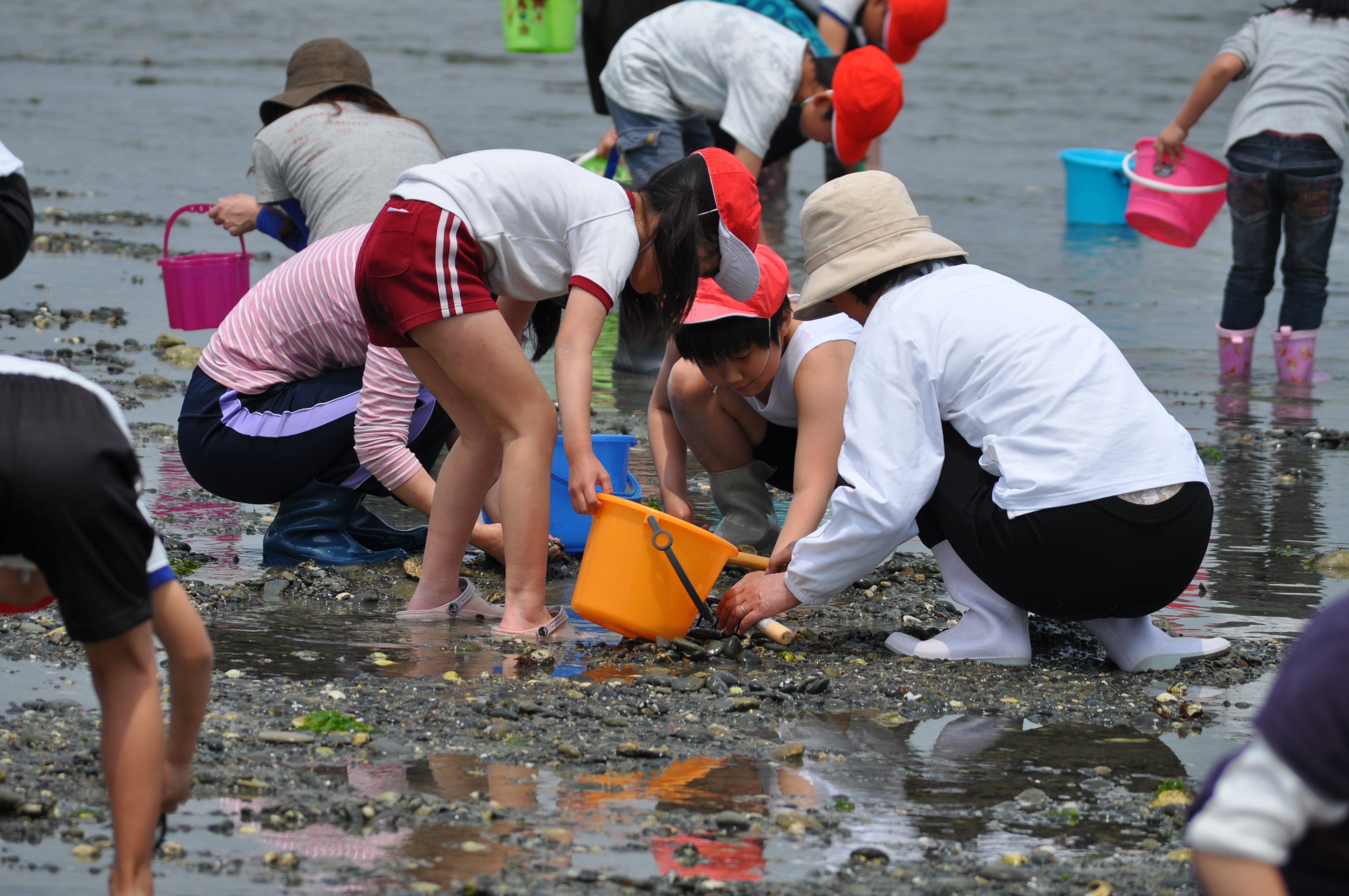 http://www.tahara.ed.jp/izumi-e/blog/2011/05/17/DSC_0068.JPG