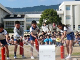 http://www.tahara.ed.jp/kinugasa-e/blog/%E3%82%B3%E3%83%94%E3%83%BC%20%EF%BD%9E%20P1590519.JPG