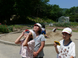 http://www.tahara.ed.jp/kinugasa-e/blog/P1110509.jpg