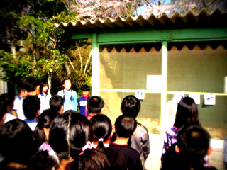 http://www.tahara.ed.jp/kinugasa-e/blog/P1330070.jpg