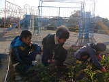 http://www.tahara.ed.jp/kinugasa-e/blog/P1350367.jpg