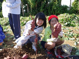 http://www.tahara.ed.jp/nanbu-e/blog/P1040197.jpg